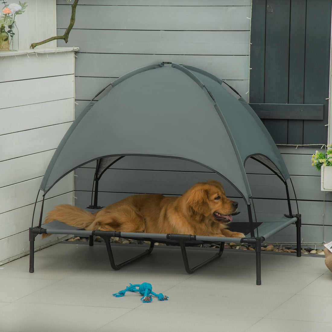 Elevated Portable Dog Cot with UV Canopy