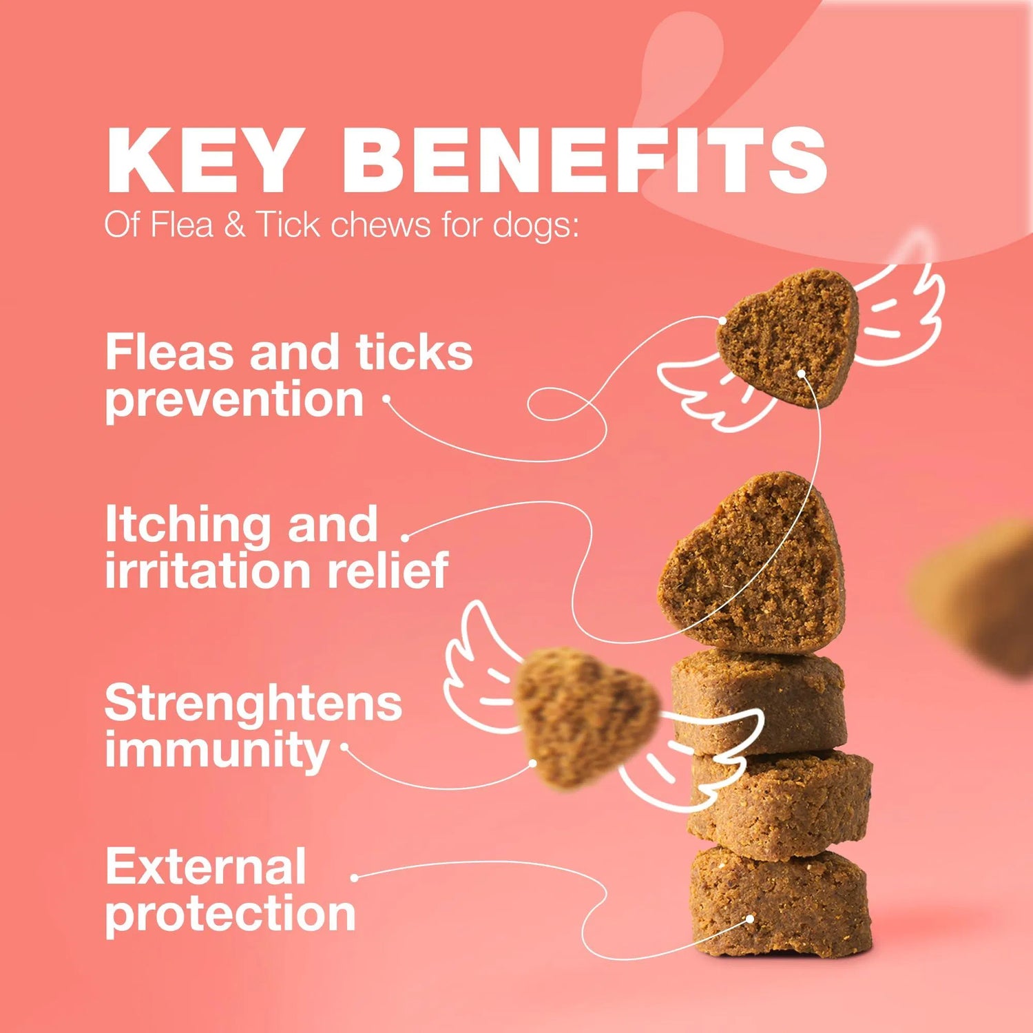 Natural Flea & Tick Dog Chews