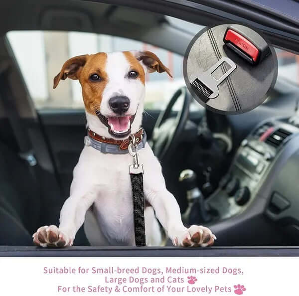 Dog Cat Car Seatbelt for Safe Travel