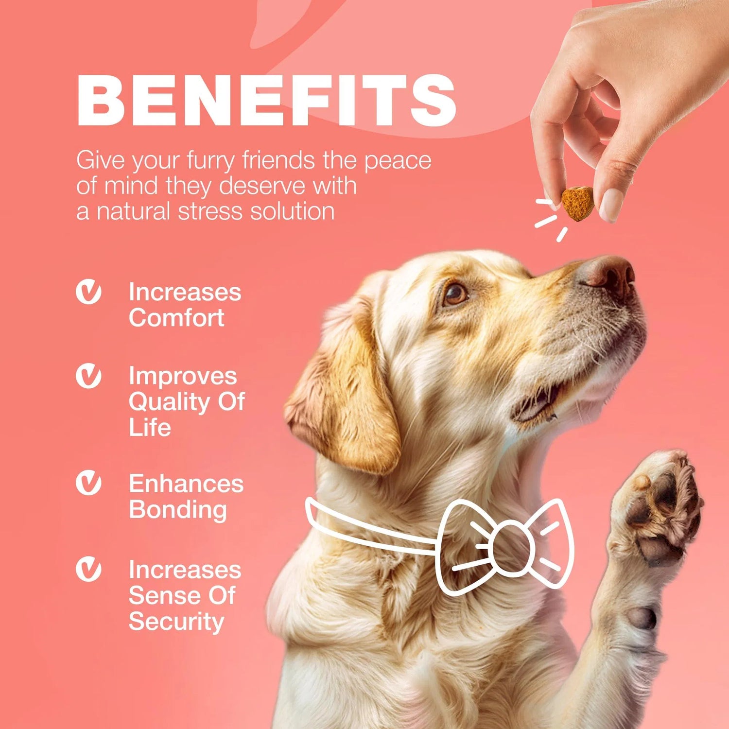 Natural Flea & Tick Dog Chews