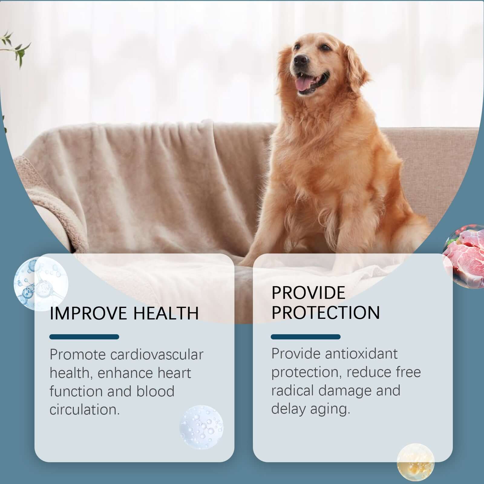 Dog Mineral Supplement Tablets 80 Count Daily Pet Vitamins
