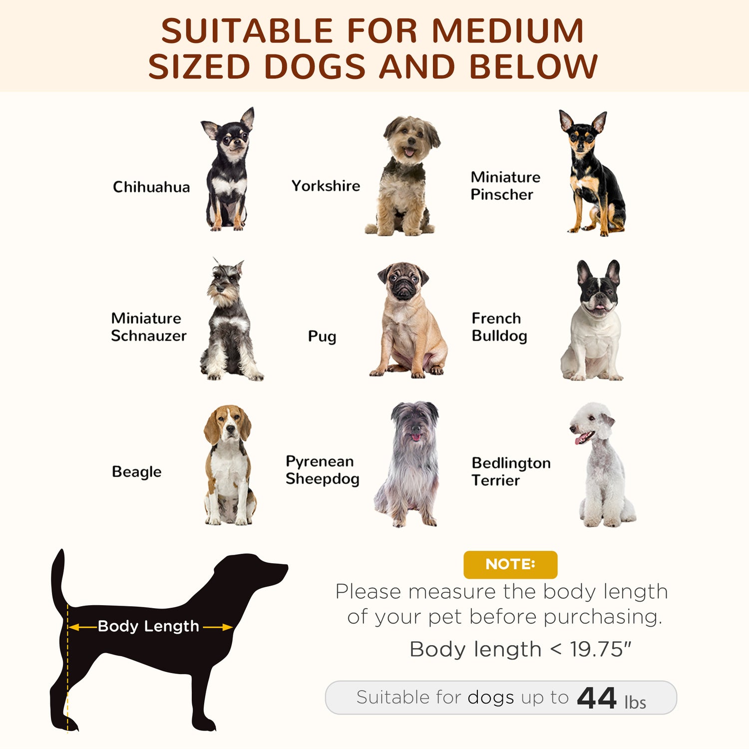 Elevated Dog Bed with Removable Canopy Gray