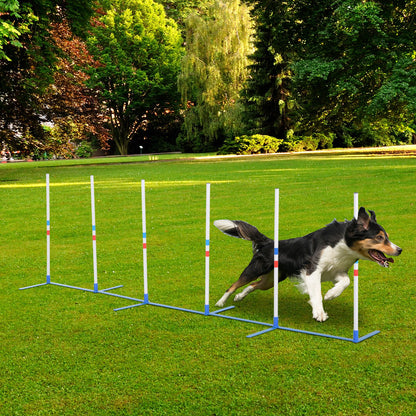 Dog Agility Equipment