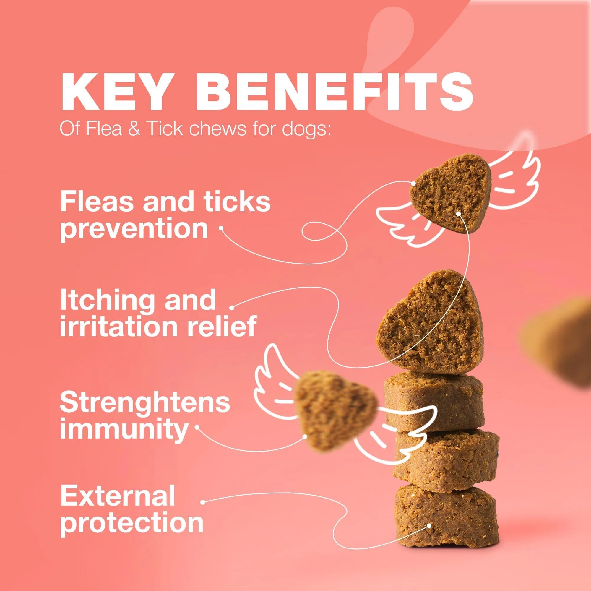 Natural Flea &amp; Tick Dog Chews