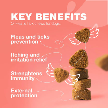 Natural Flea &amp; Tick Dog Chews