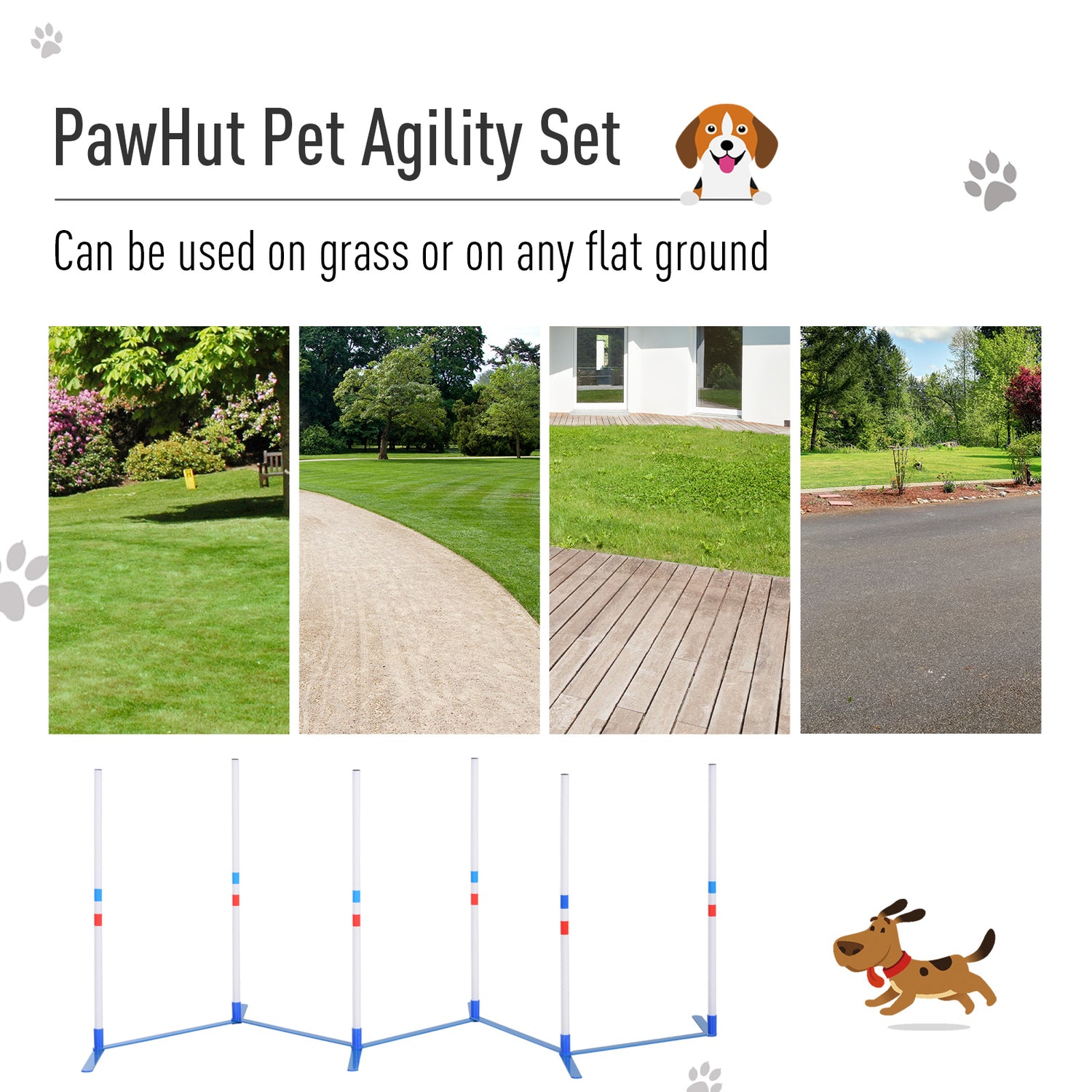 Dog Agility Equipment