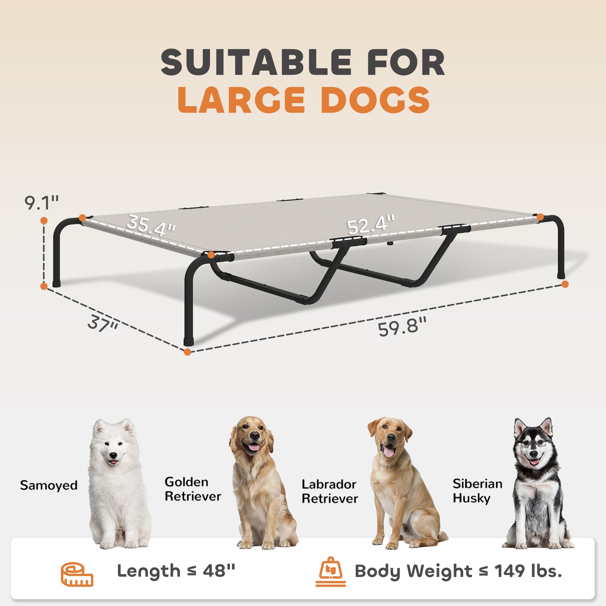 Elevated Dog Bed for Large Breeds