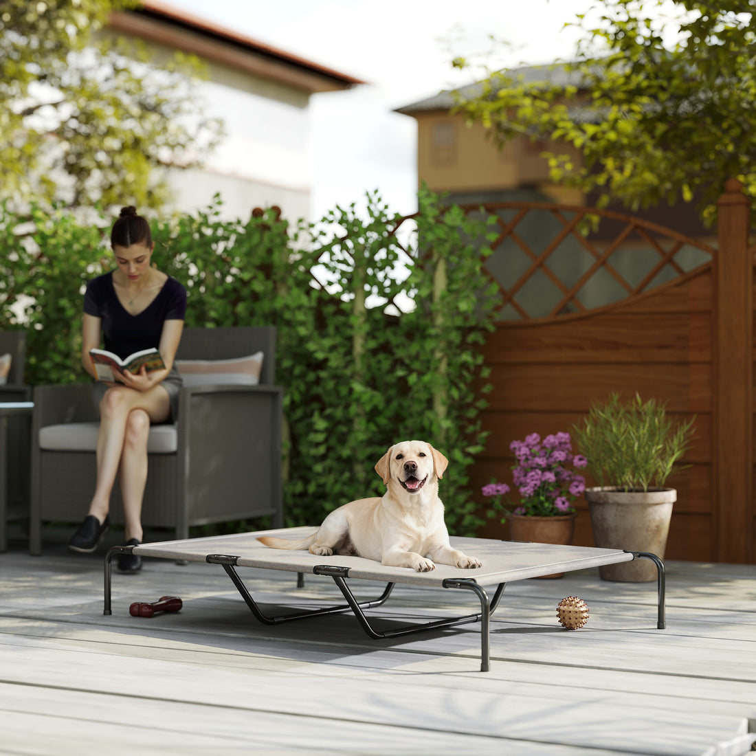 Elevated Dog Bed for Large Breeds