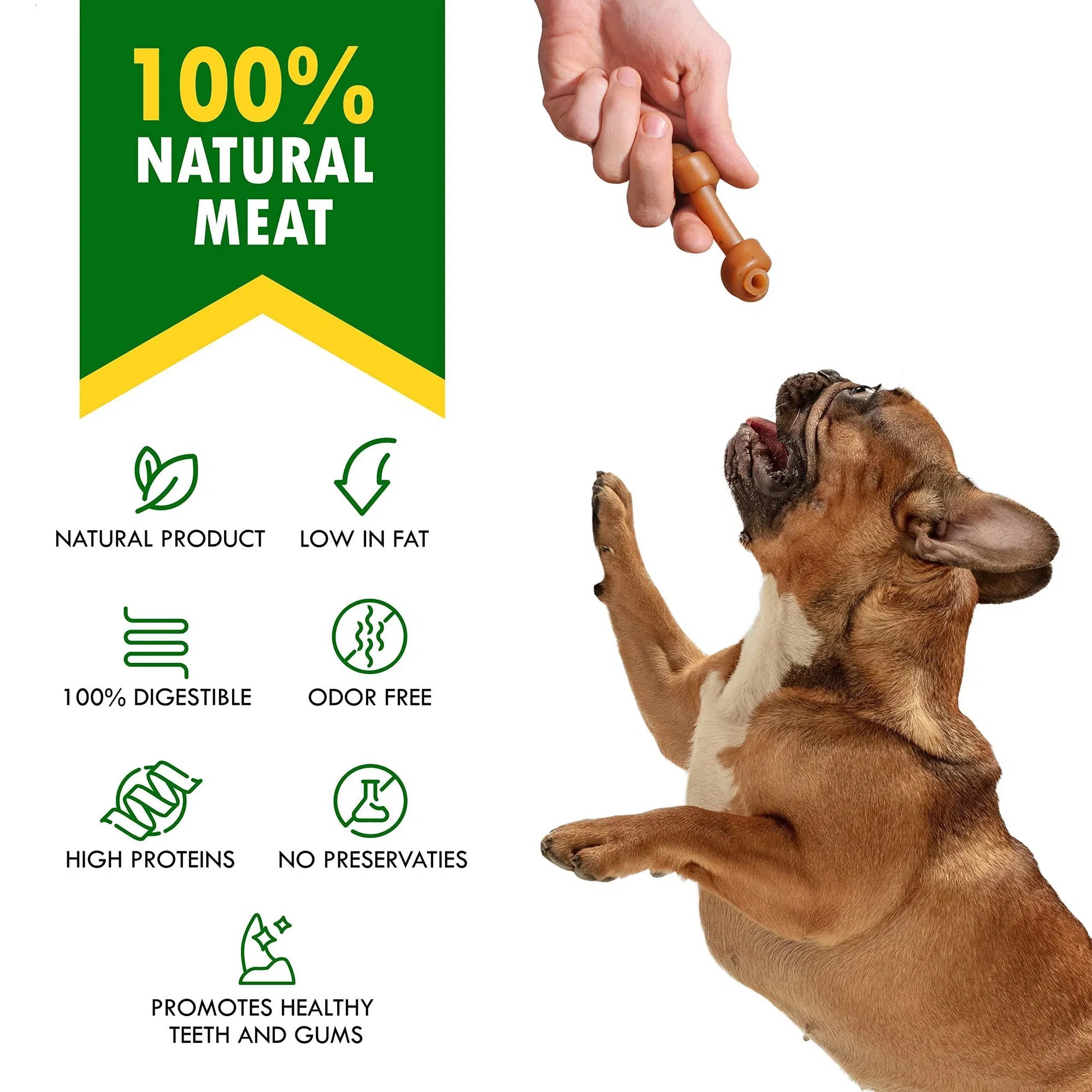 Dog Peanut Butter Bones