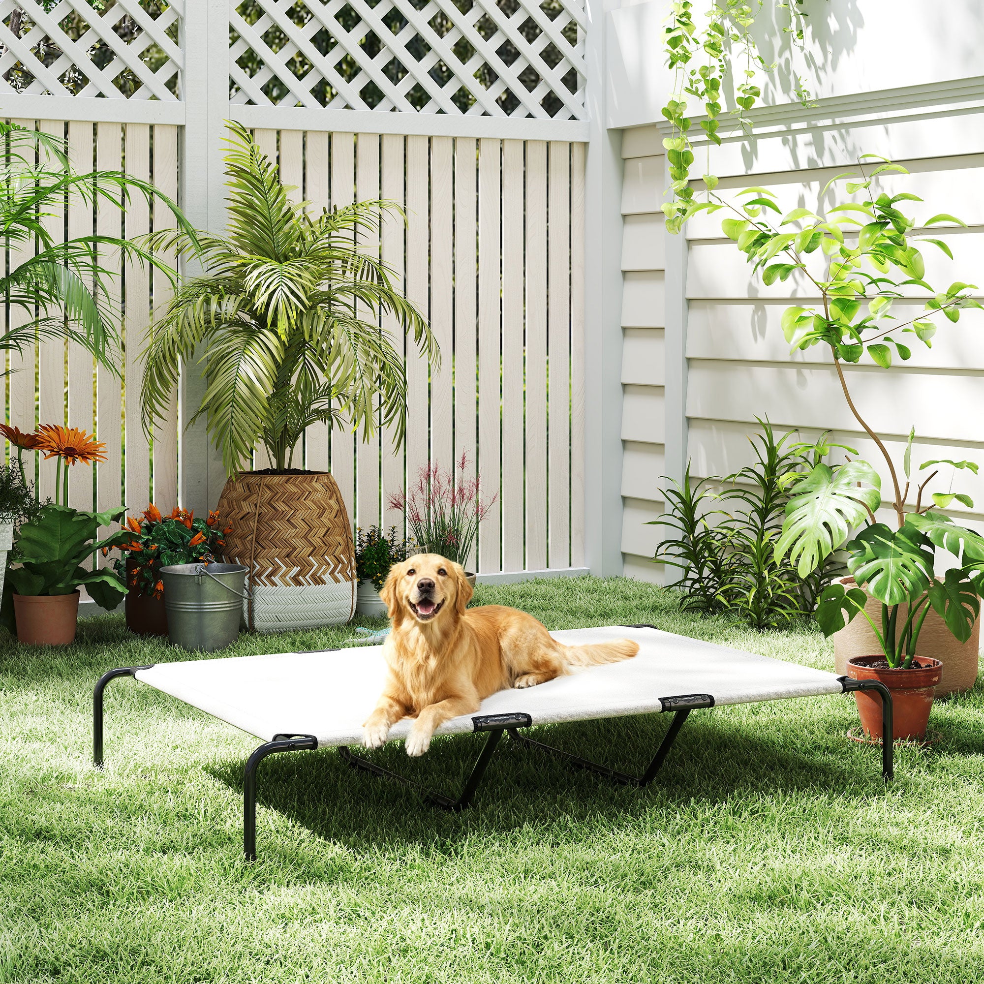 Elevated Dog Bed for Large Breeds