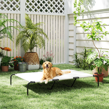 Elevated Dog Bed for Large Breeds