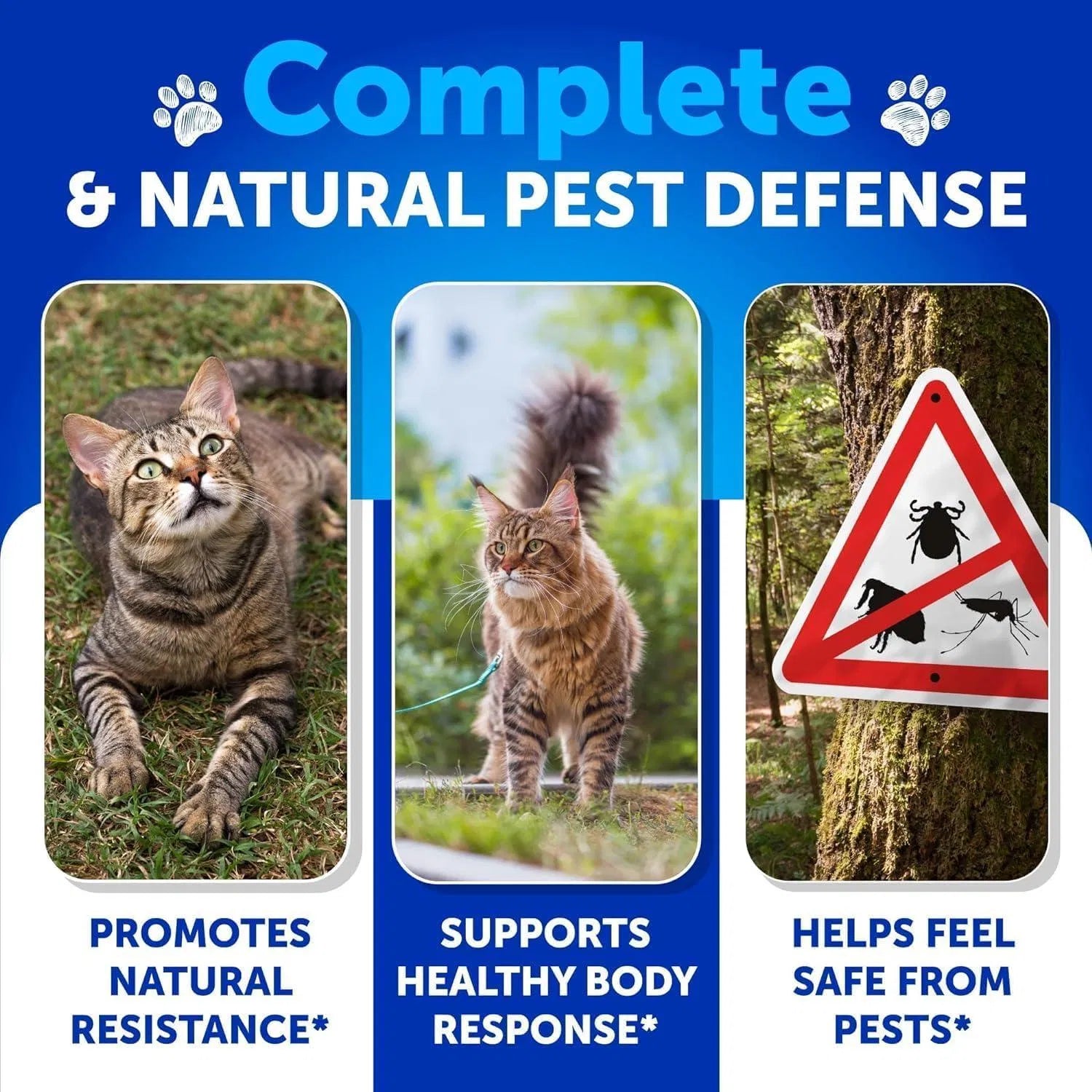 Natural Flea &amp; Tick Cat Chews