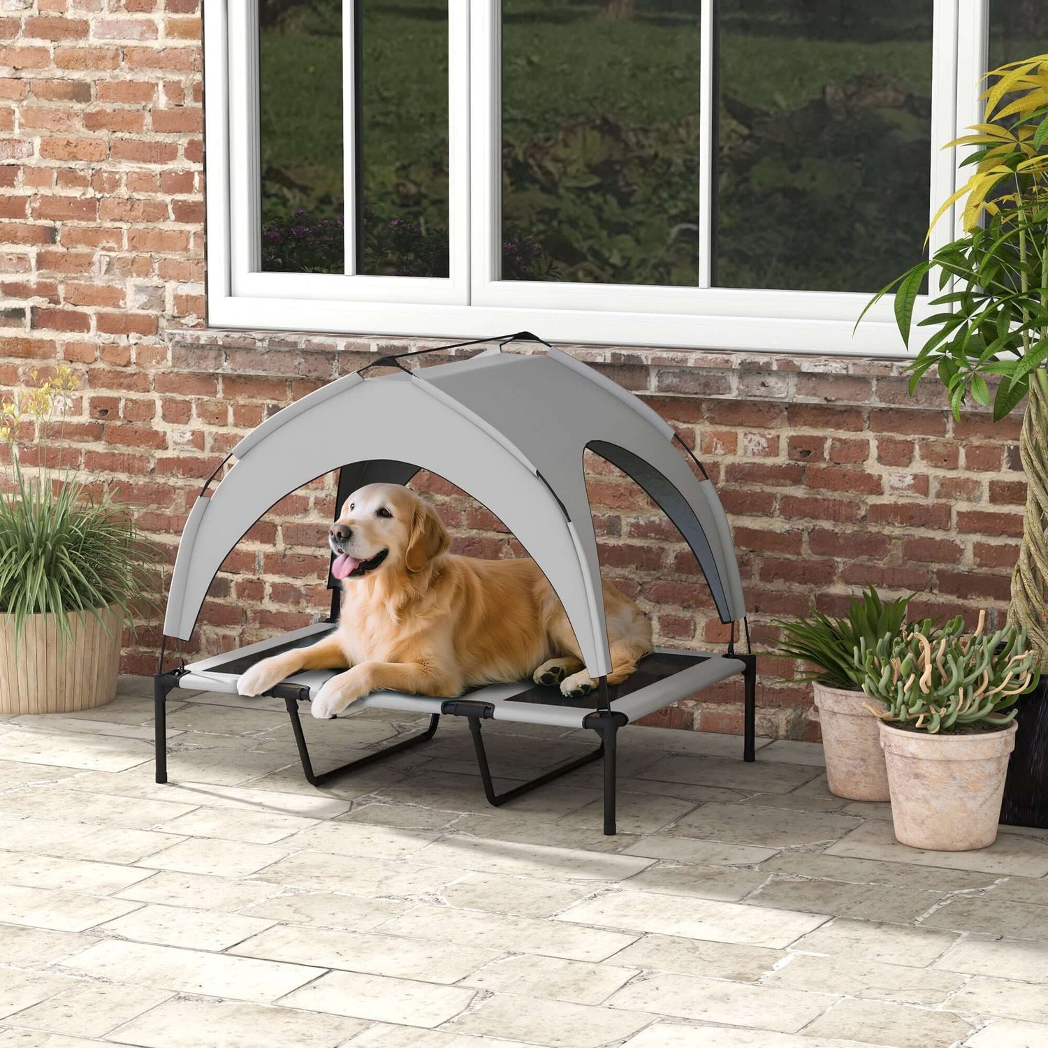 Elevated Dog Bed with Canopy Outdoor Cot