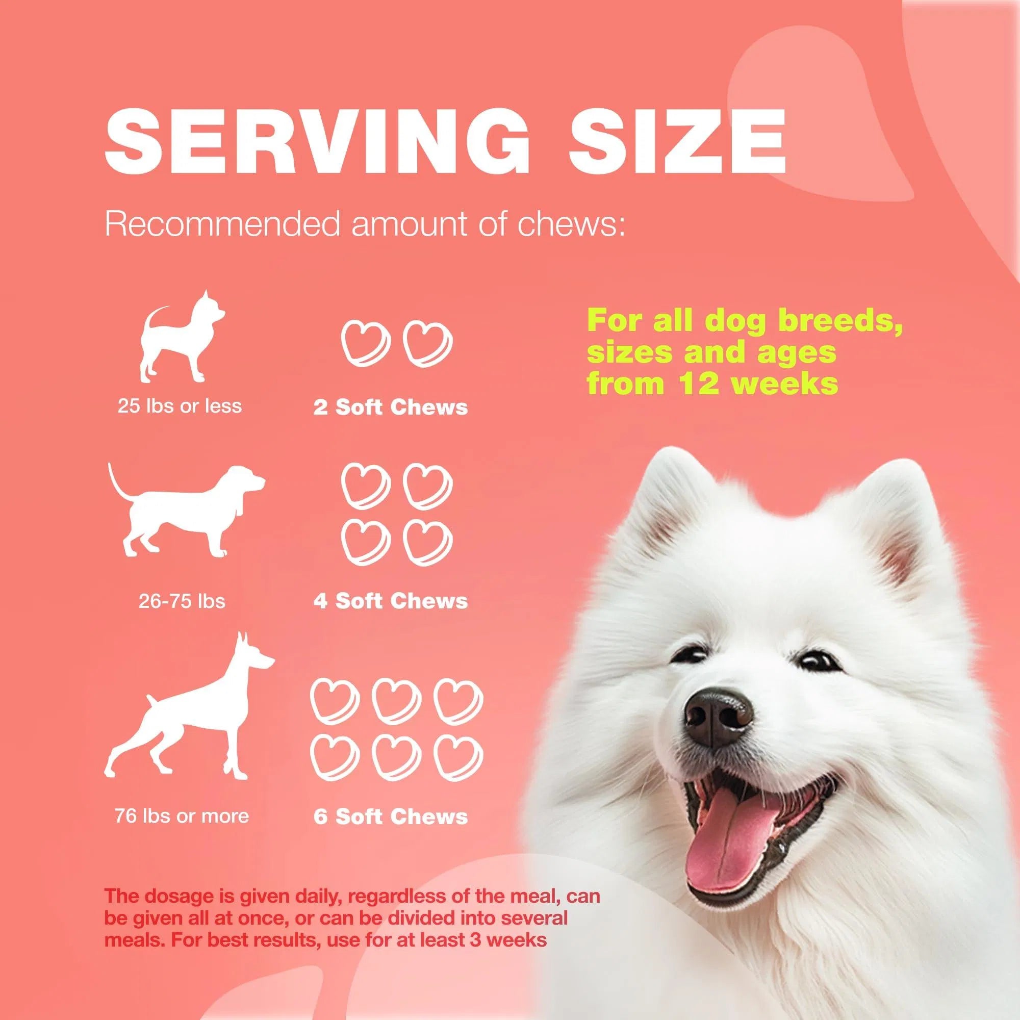 Natural Flea &amp; Tick Dog Chews