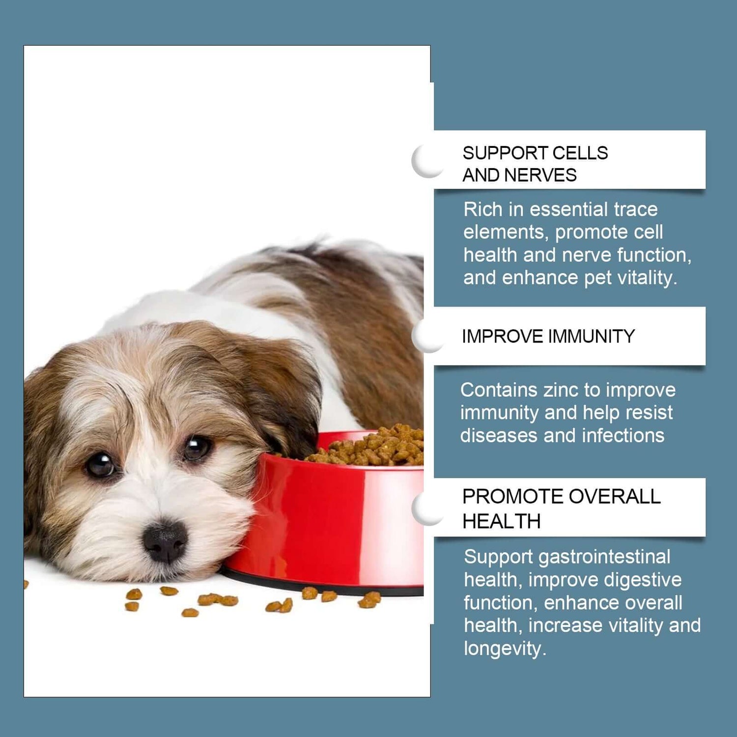 Dog Mineral Supplement Tablets  80 Count Daily Pet Vitamins
