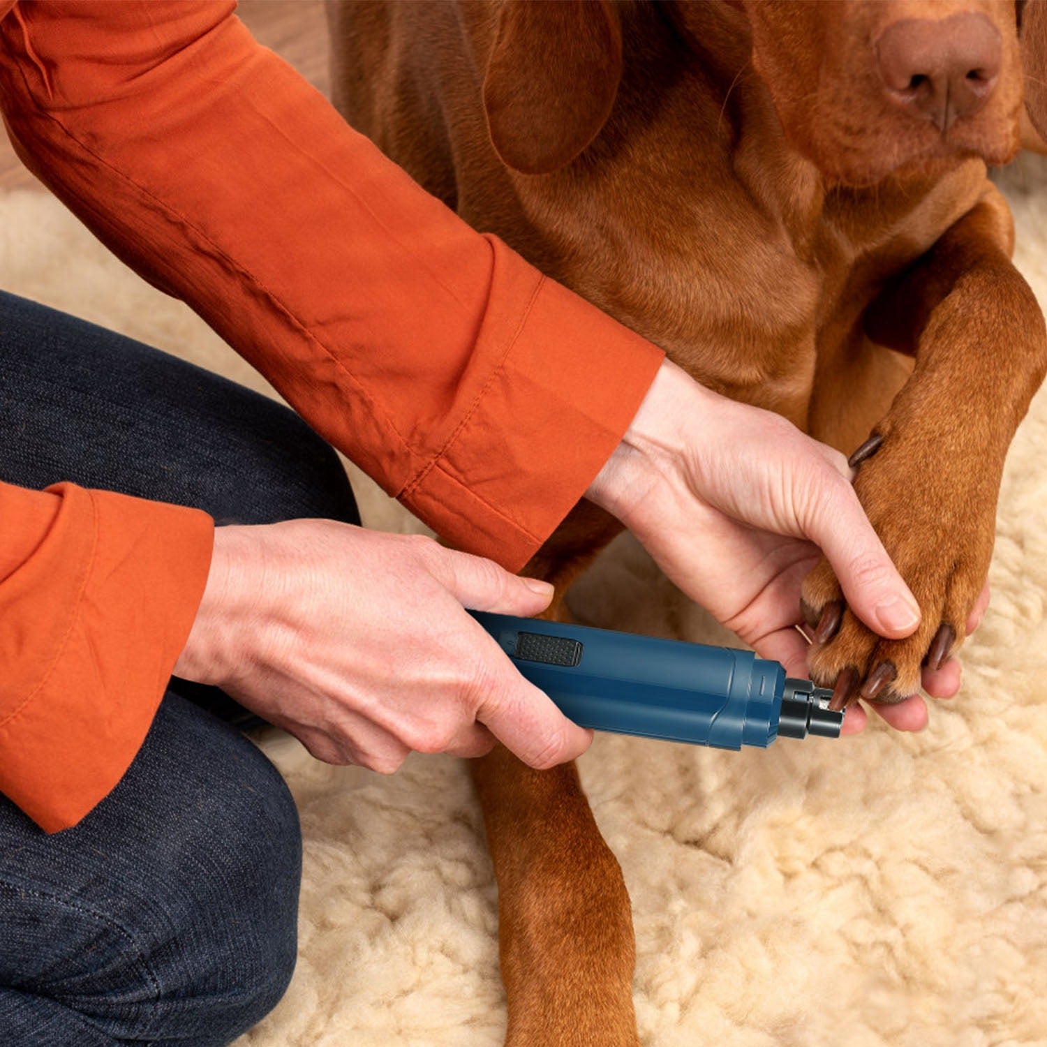 Rechargeable Dog Nail Grinder