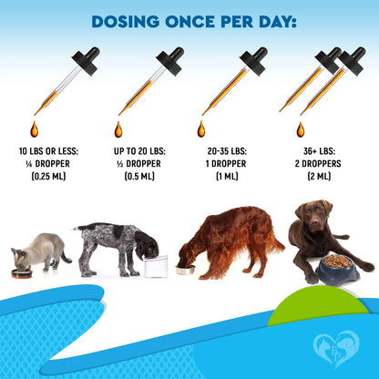 Pet Respiratory Support