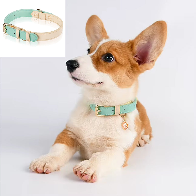 Adjustable Dog Collar