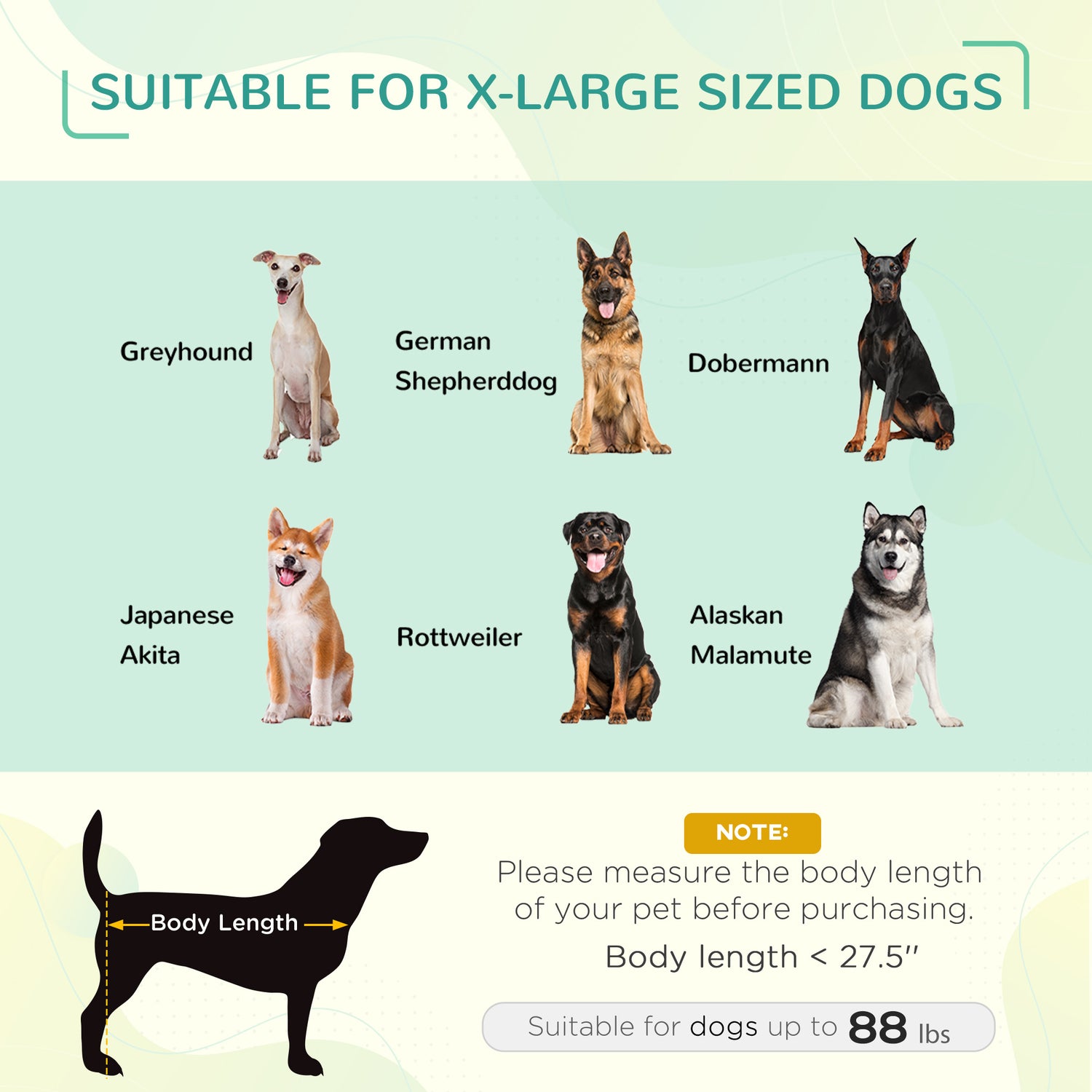 Elevated Portable Dog Cot with UV Canopy