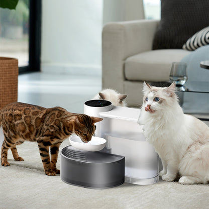 Smart Pet Water Fountain