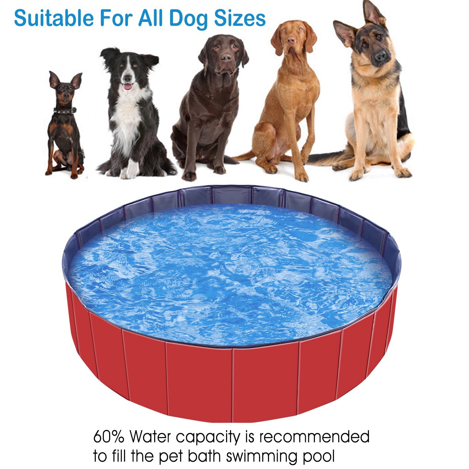 Foldable Dog Swimming Pool