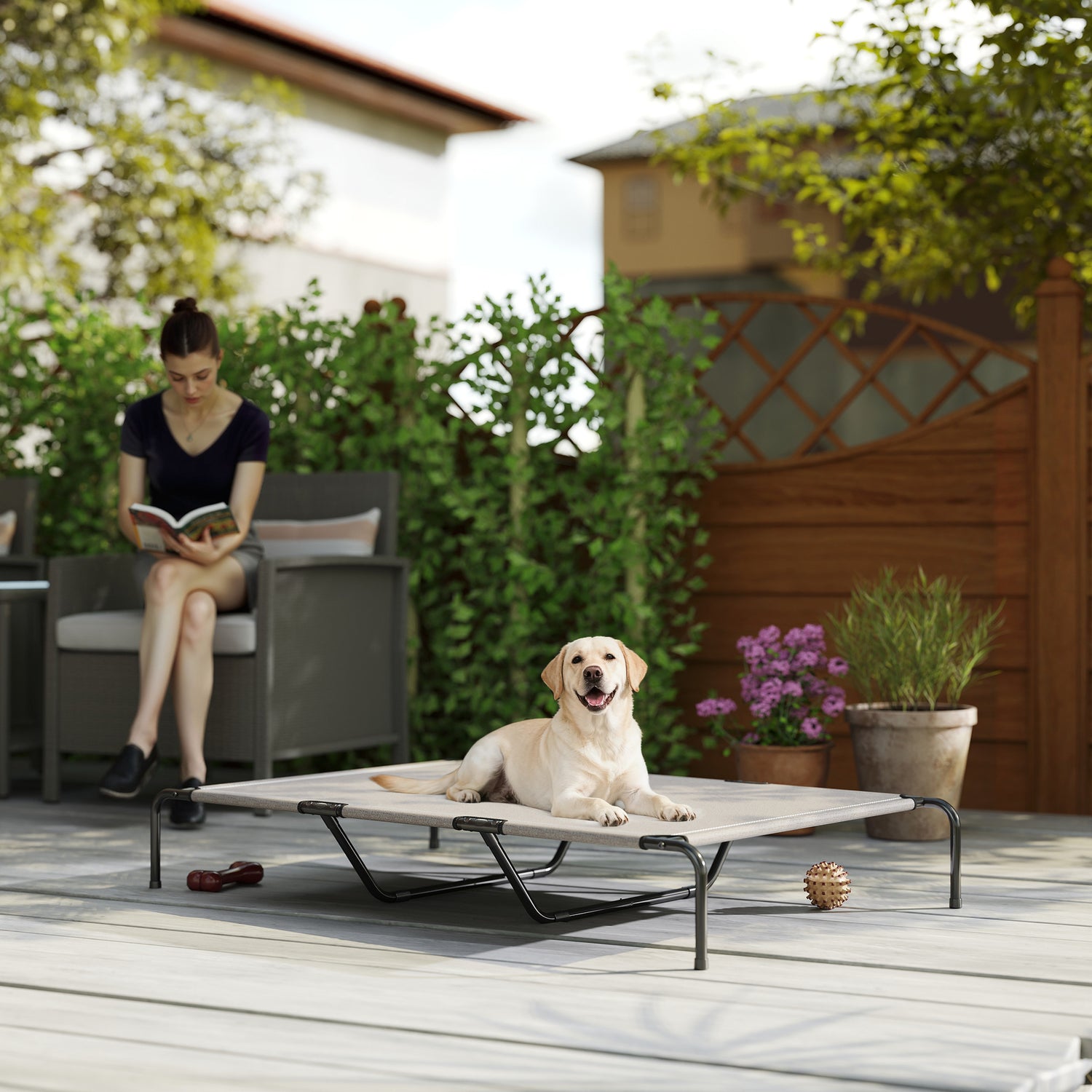 Elevated Dog Bed for Large Breeds