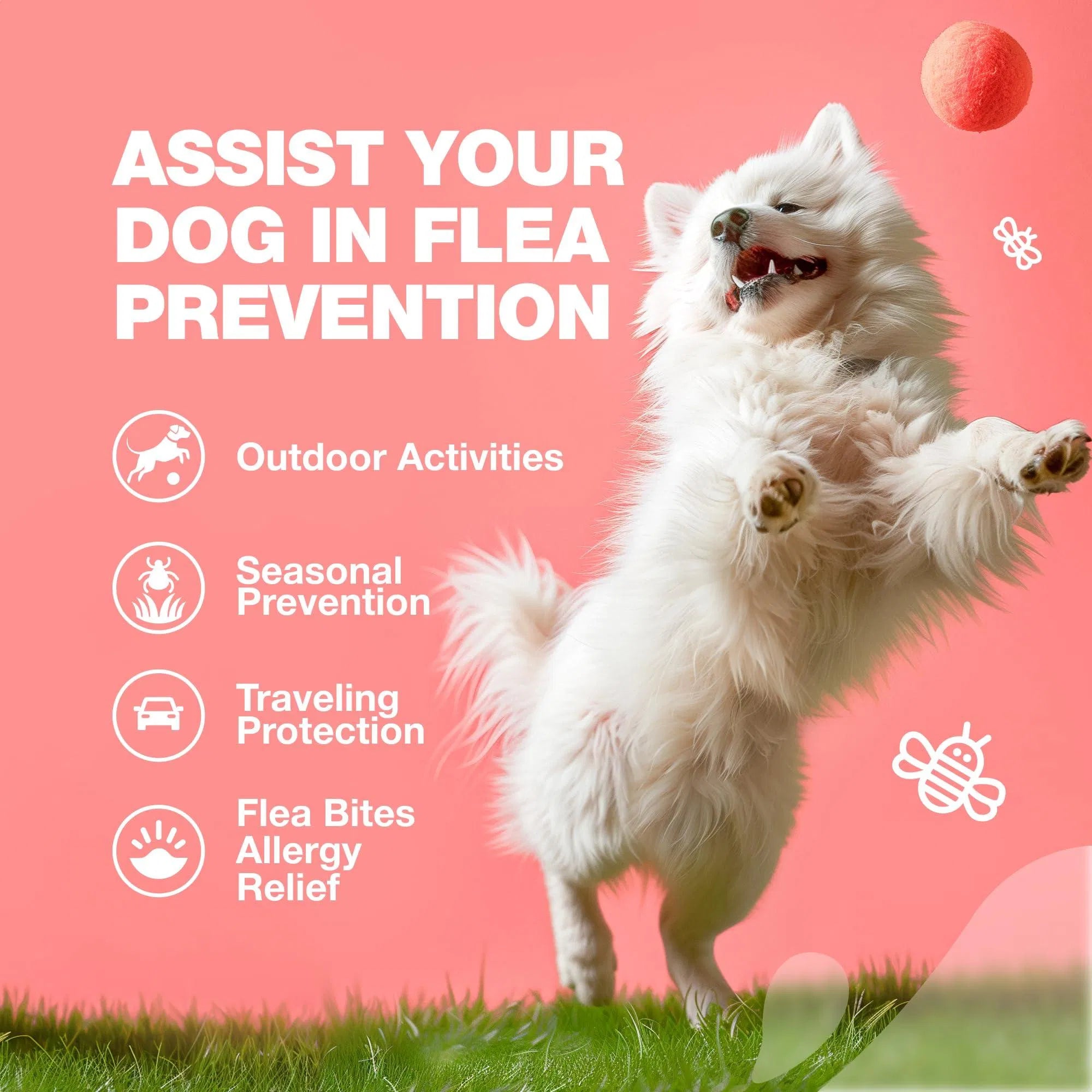 Natural Flea &amp; Tick Dog Chews