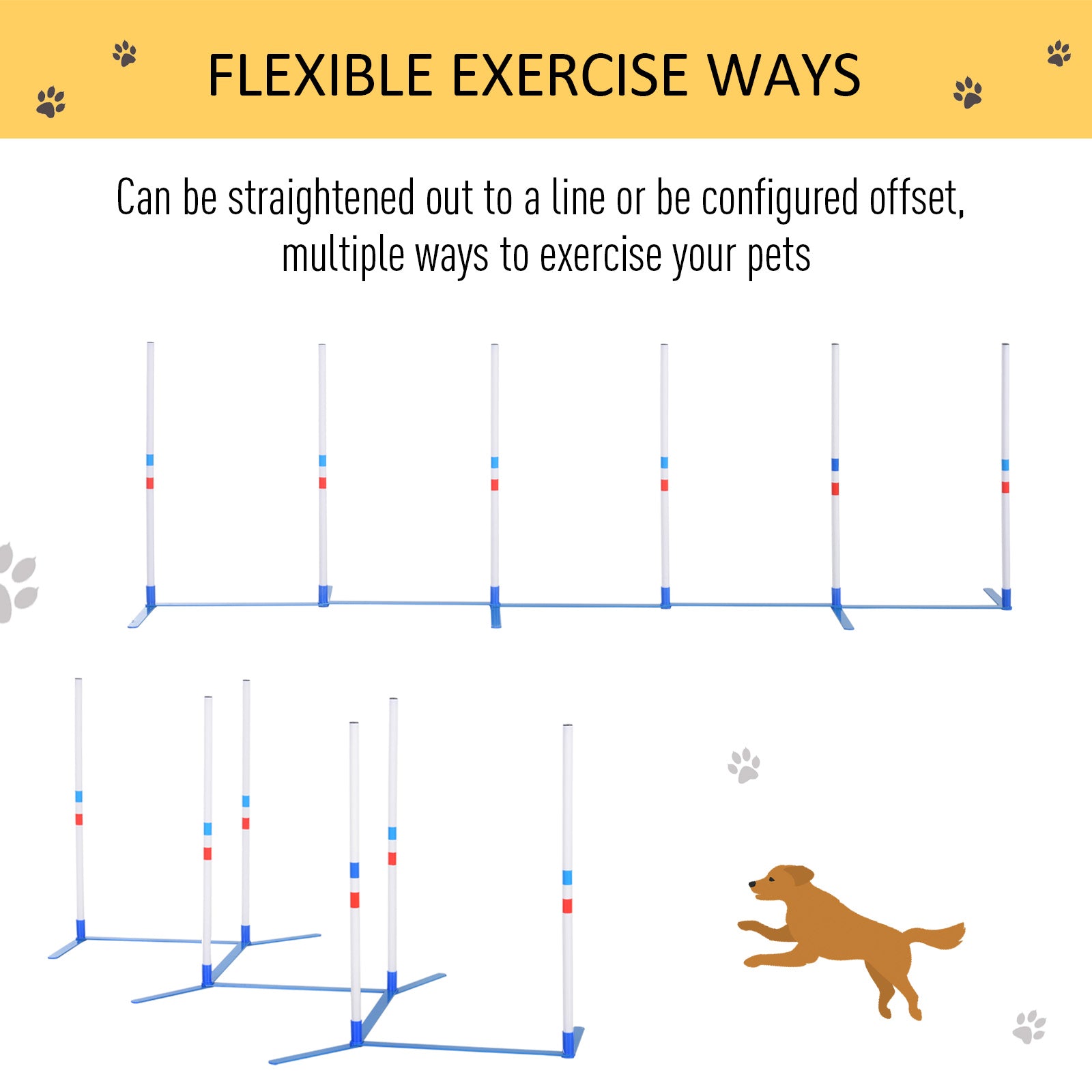 Dog Agility Equipment