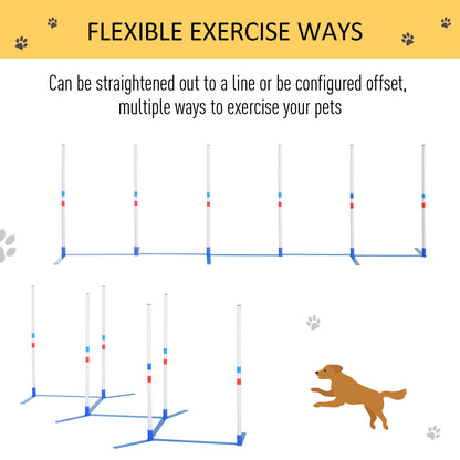 Dog Agility Equipment