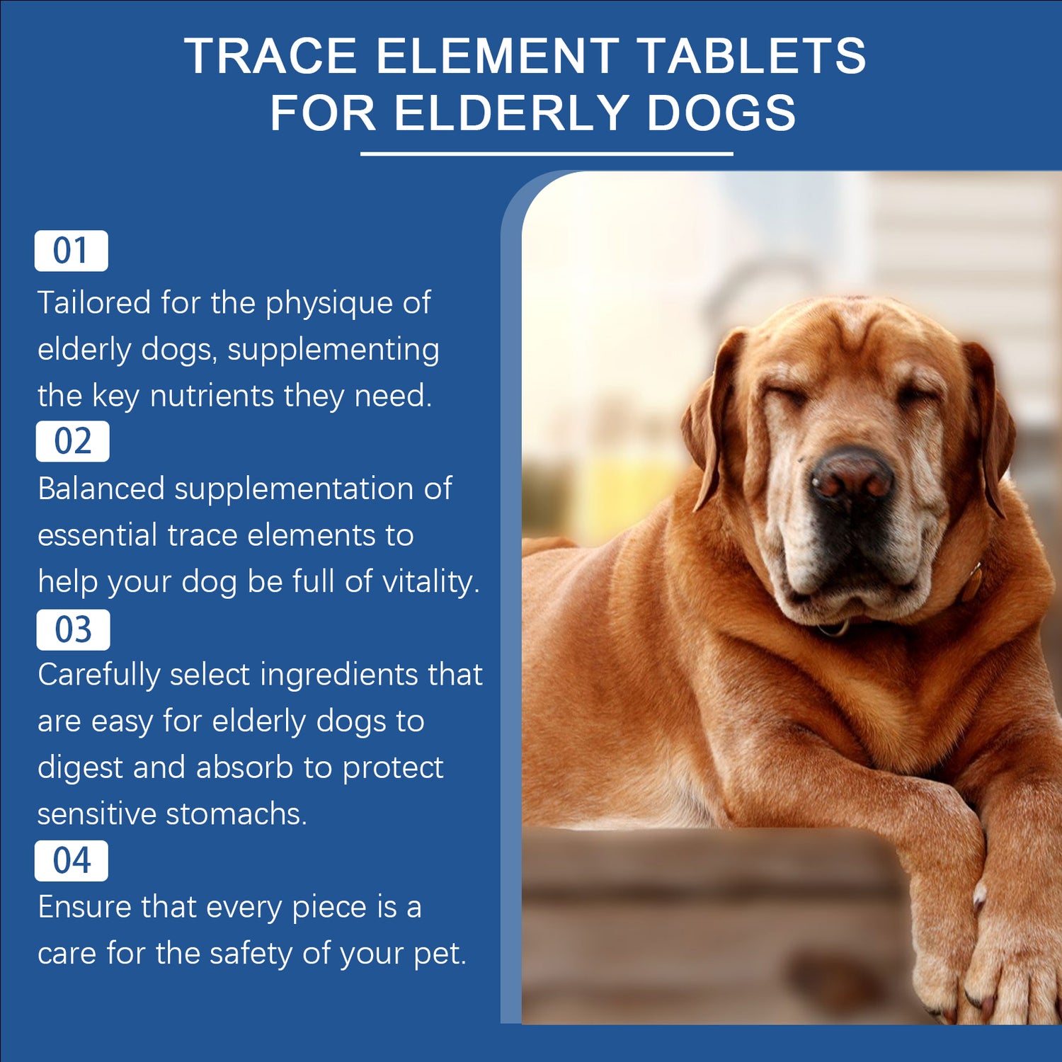 Senior Dog Multimineral Supplement