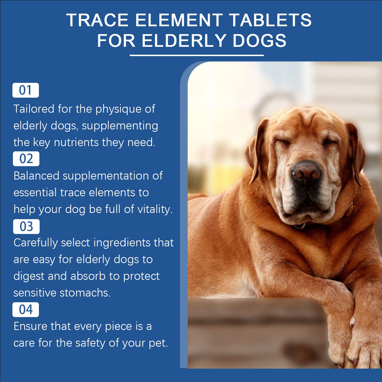 Senior Dog Multimineral Supplement