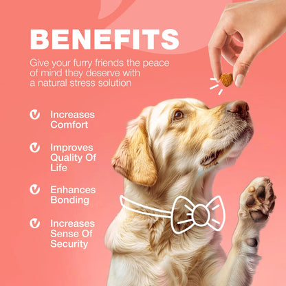 Natural Flea &amp; Tick Dog Chews