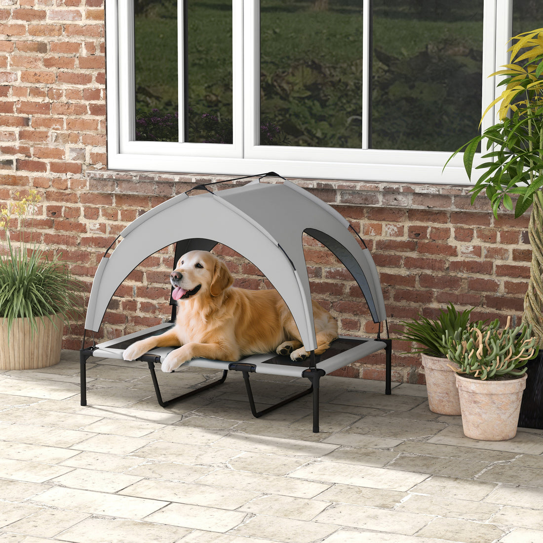 Elevated Dog Bed with Canopy Outdoor Cot