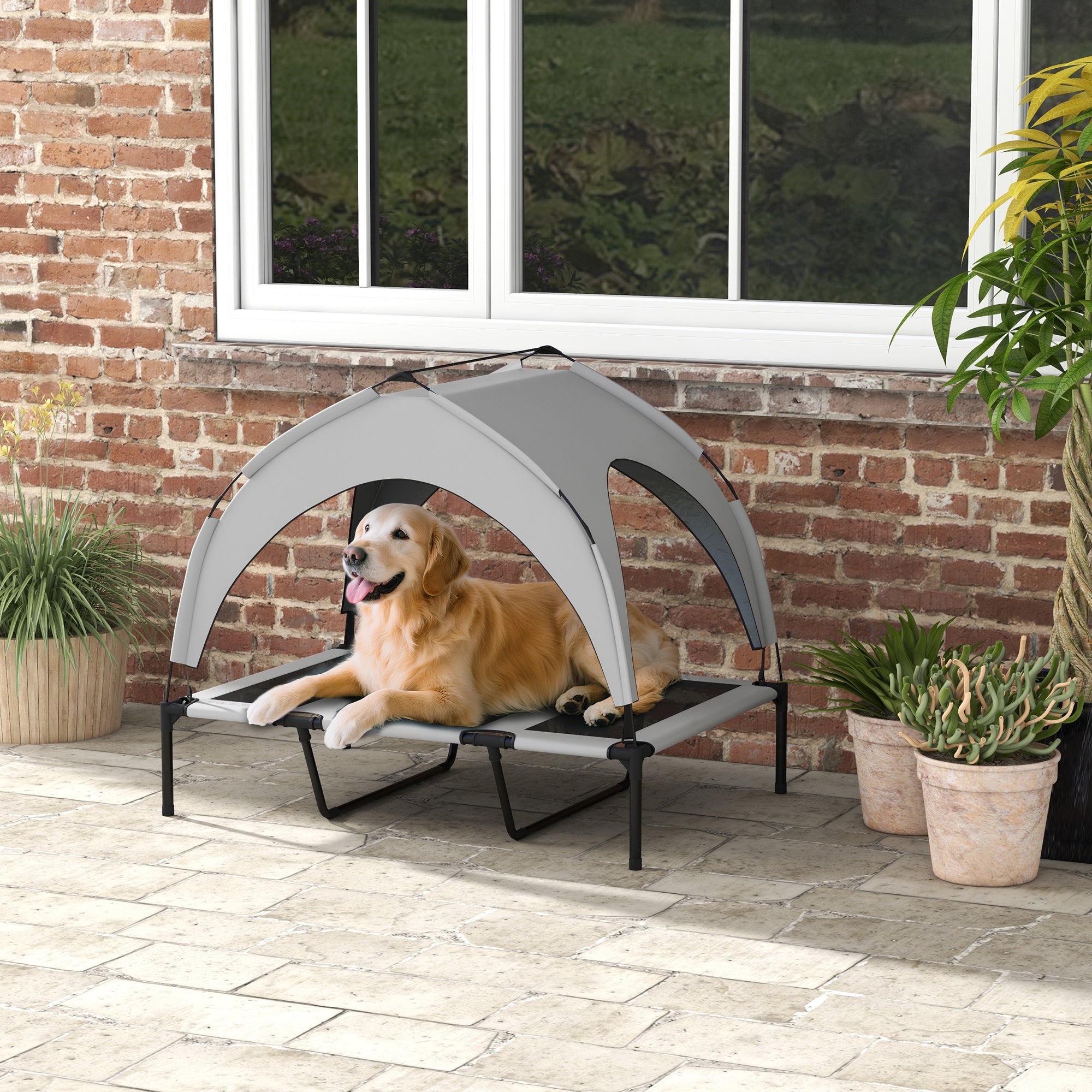Elevated Dog Bed with Canopy Outdoor Cot
