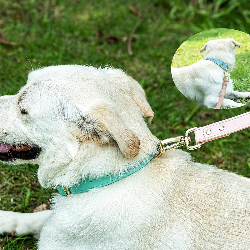 Adjustable Dog Collar