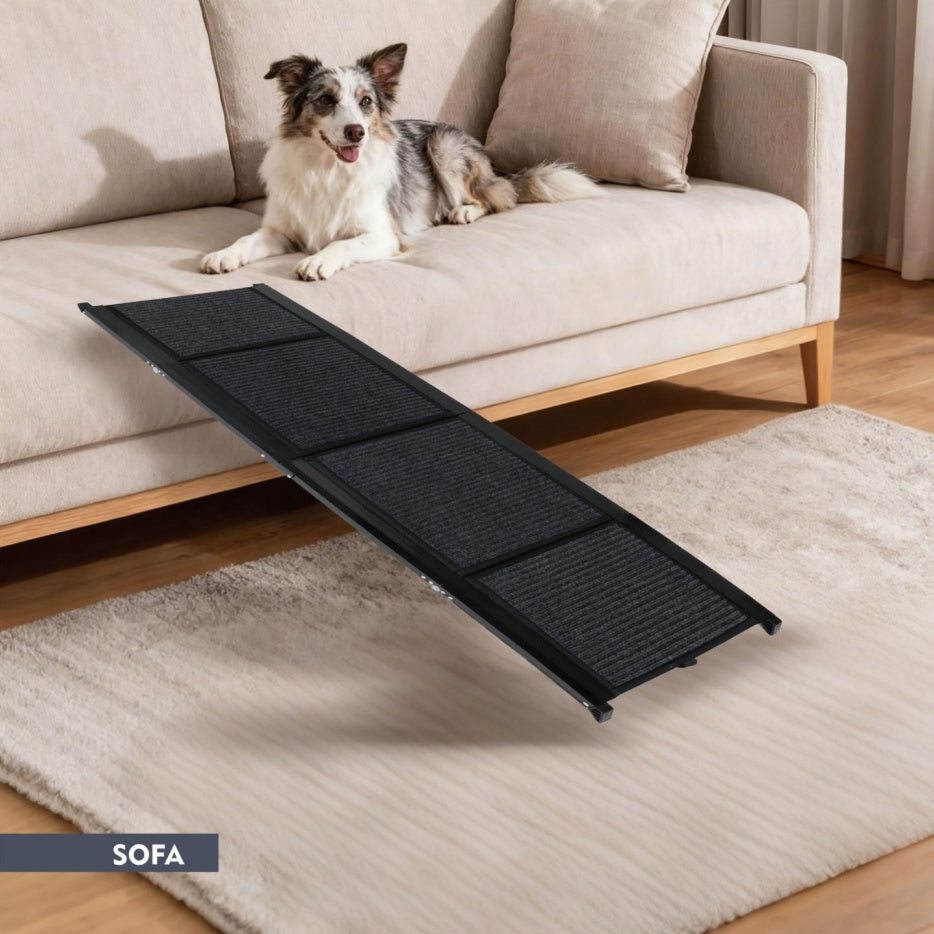 Dog Car Ramp