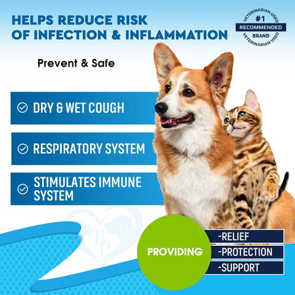 Pet Respiratory Support