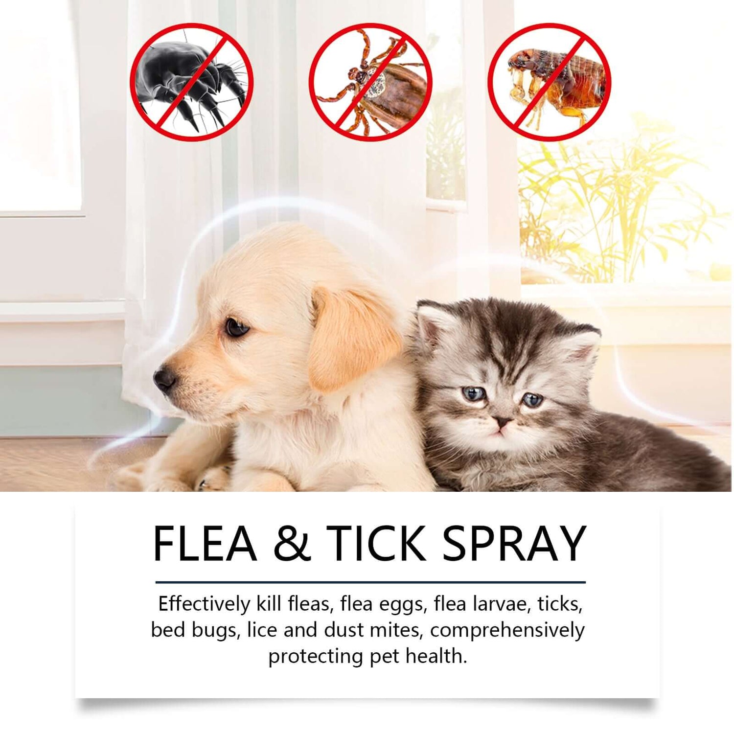 spray antiparasitaire naturel pour chiens et chats avec un chiot et un chaton, protégeant la santé des animaux des parasites.