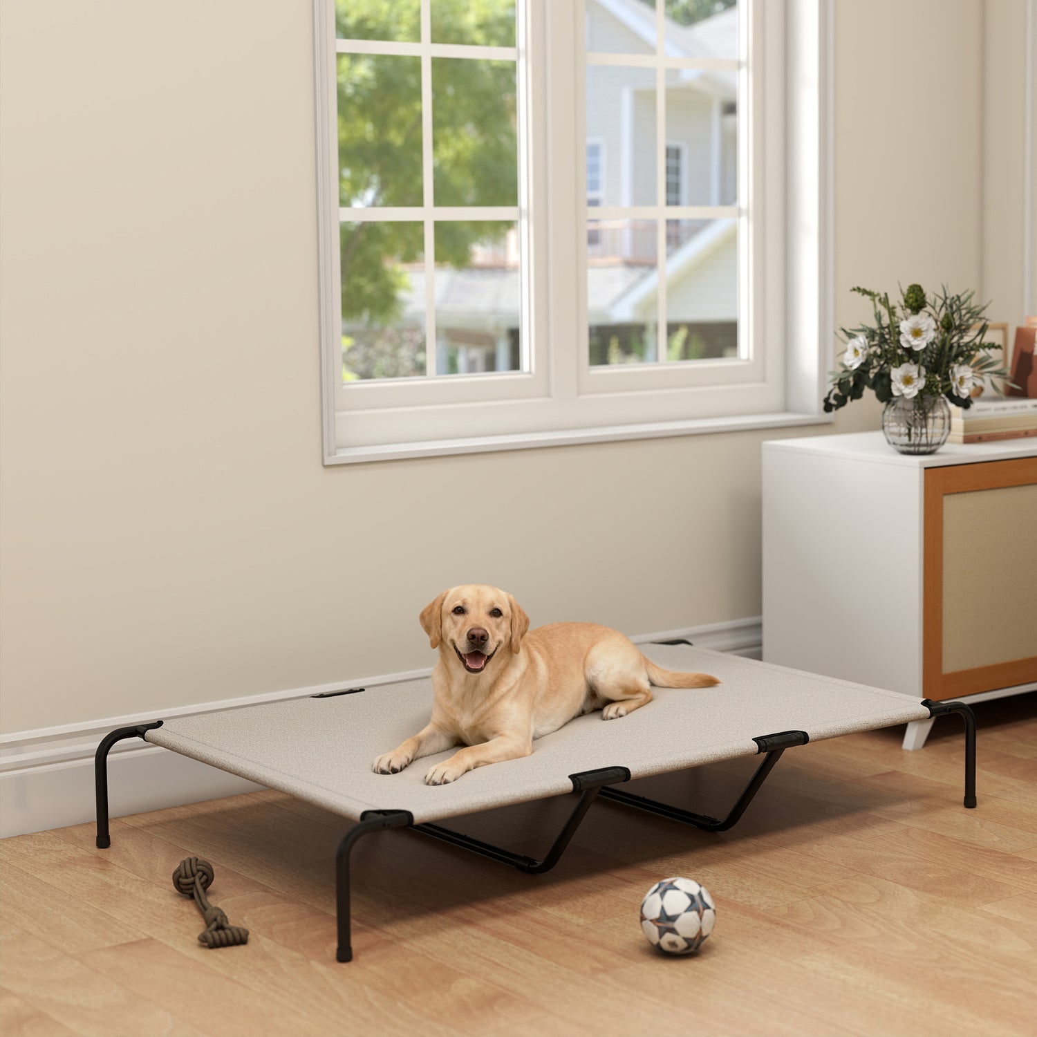 Elevated Dog Bed for Large Breeds
