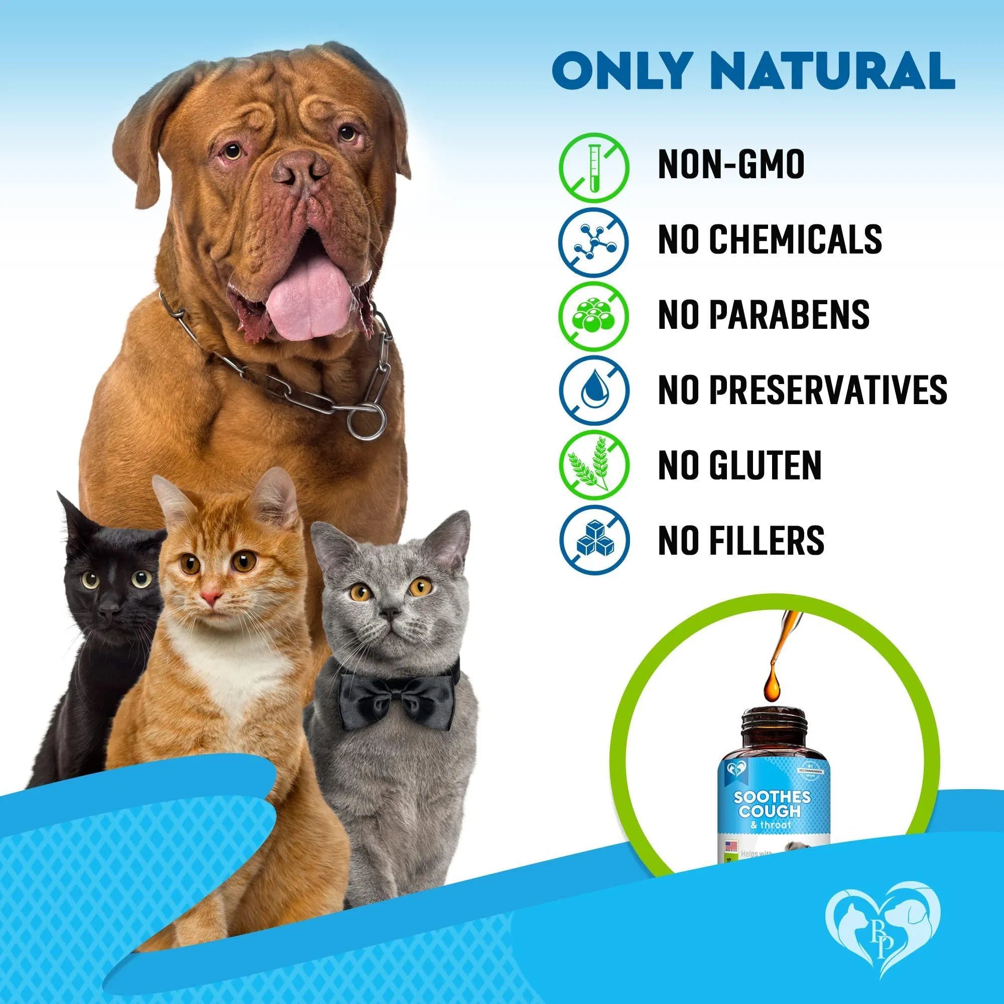 Pet Respiratory Support