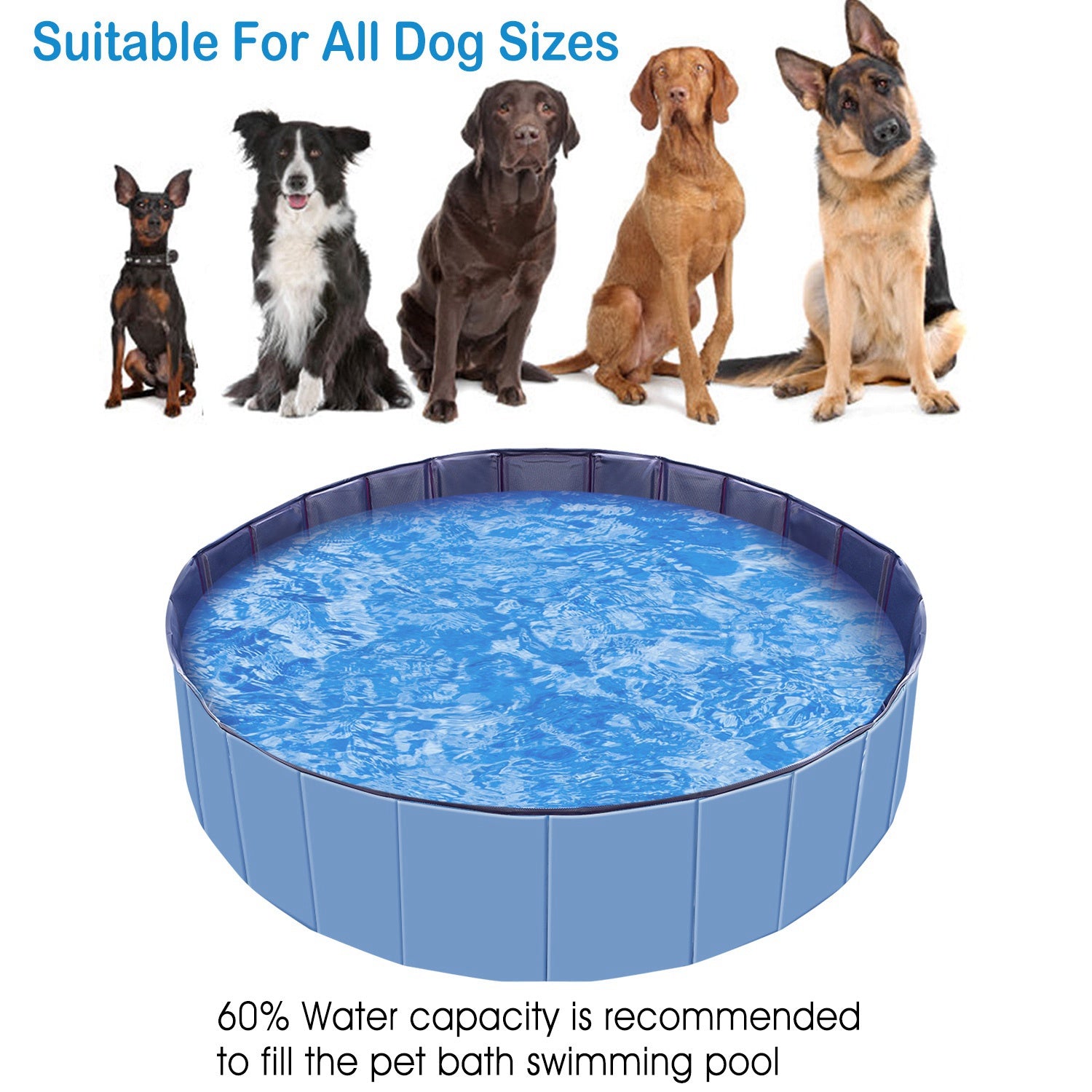 Foldable Dog Swimming Pool