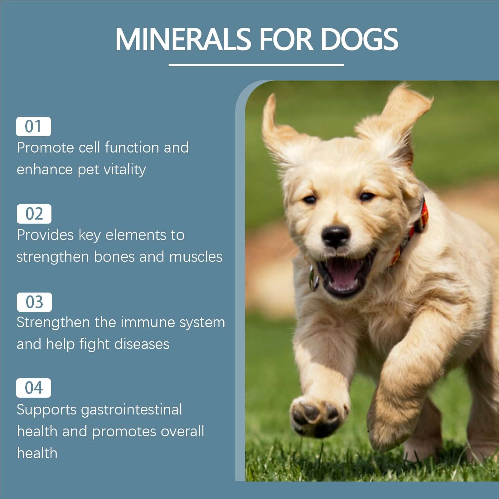 Dog Mineral Supplement Tablets  80 Count Daily Pet Vitamins