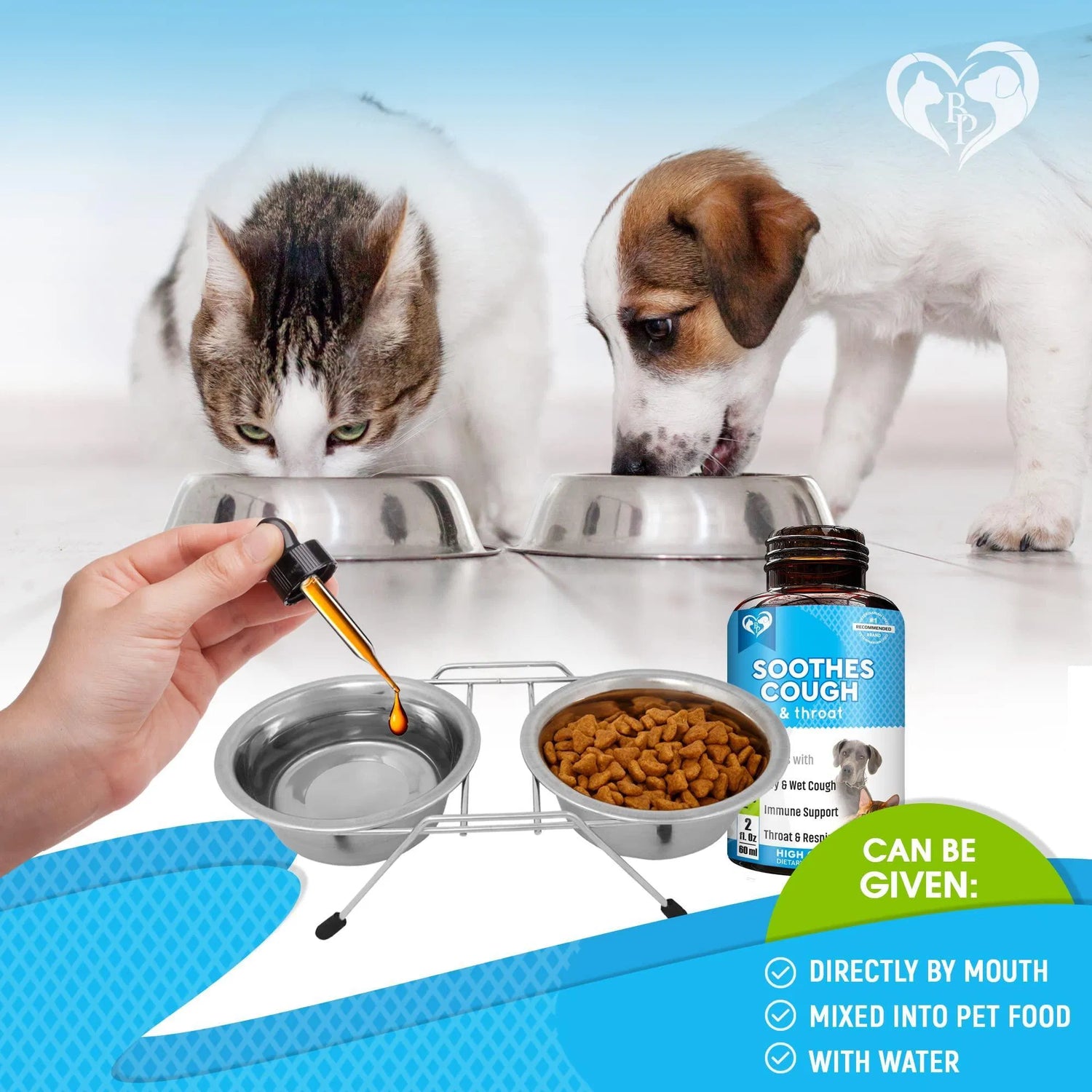 Pet Respiratory Support
