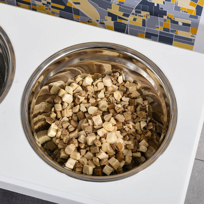 Small Puppy Dog Feeding Station