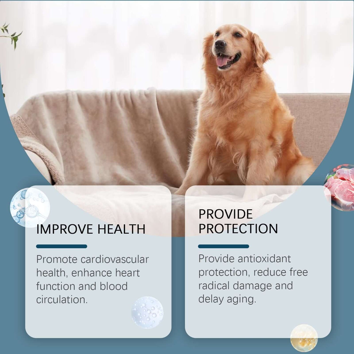 Dog Mineral Supplement Tablets  80 Count Daily Pet Vitamins